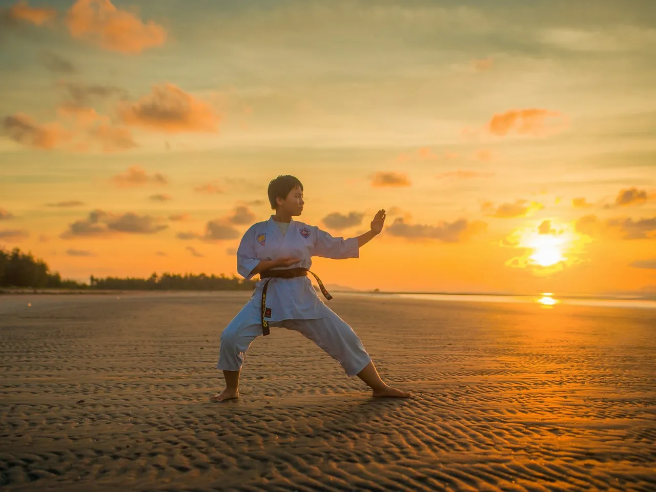 Martial artist practising karate at sunset