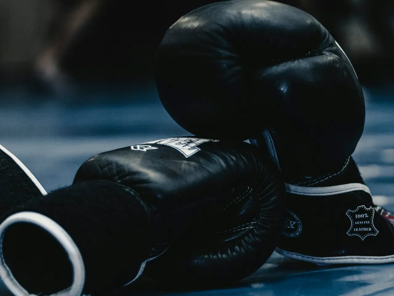 Boxing gloves resting on training equipment